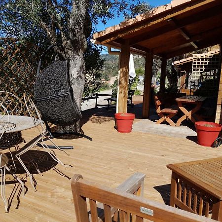 Le Chalet De Valentine & Laurent Olmiccia Exterior photo