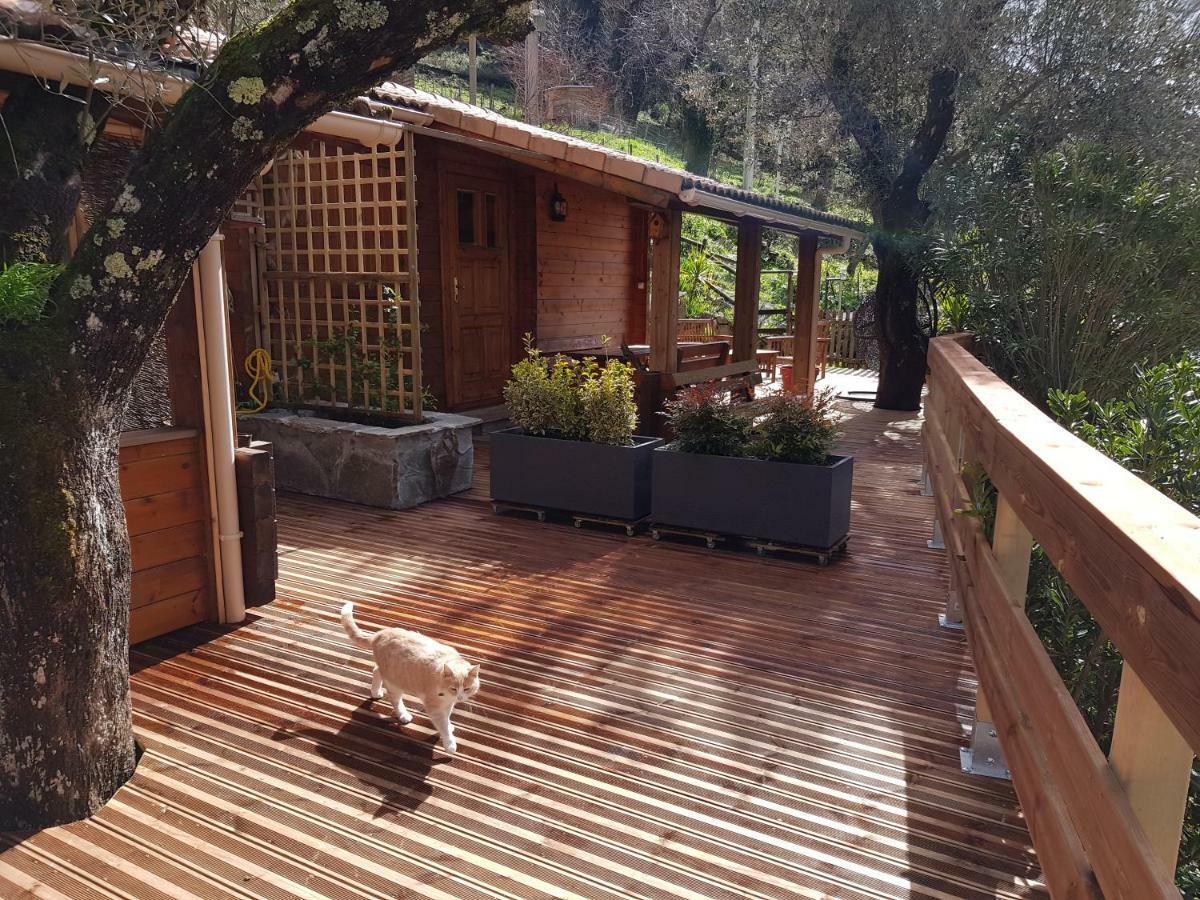Le Chalet De Valentine & Laurent Olmiccia Exterior photo
